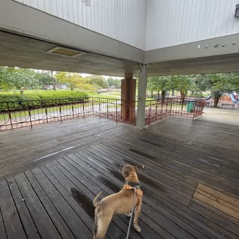Dog Park at Public Safety Memorial Park photo 1